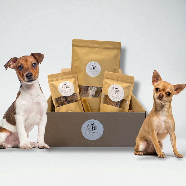 Pack découverte petits chiens (2 à 5kg)