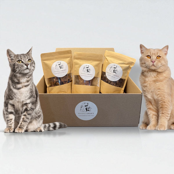 Pack découverte pour chats