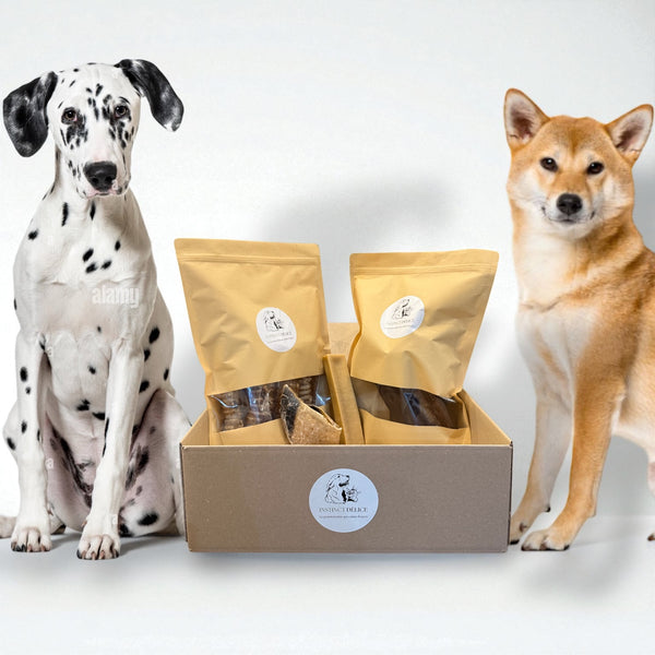 Pack découverte grands chiens (15 à 25kg)